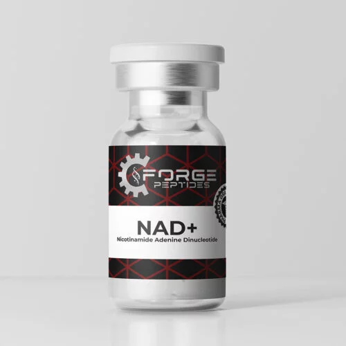 Forge Peptides NAD+ vial with black and red label, nicotinamide adenine dinucleotide, on a white background