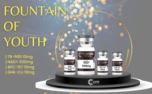 FOUNTAIN OF YOUTH