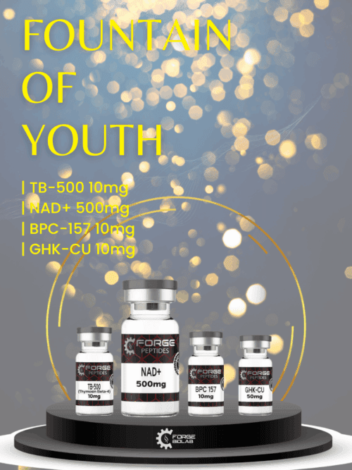 FOUNTAIN OF YOUTH
