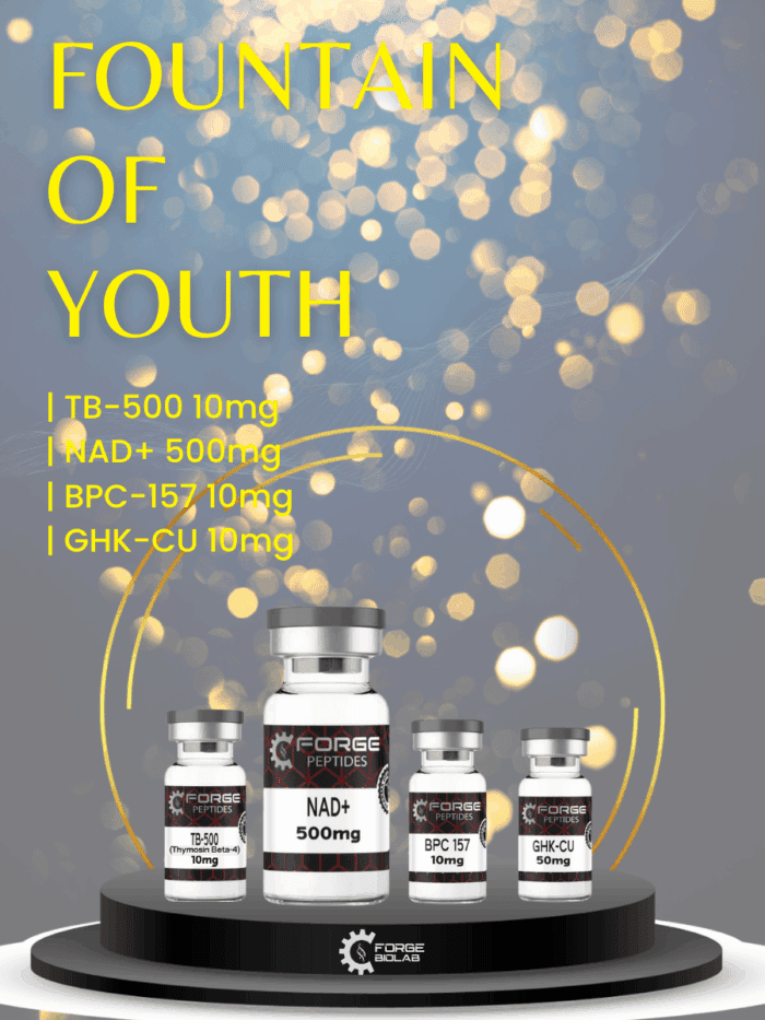 FOUNTAIN OF YOUTH