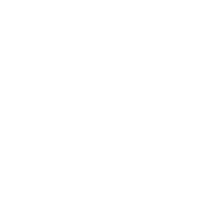 Warrior Makers white Spartan helmet logo on a transparent background
